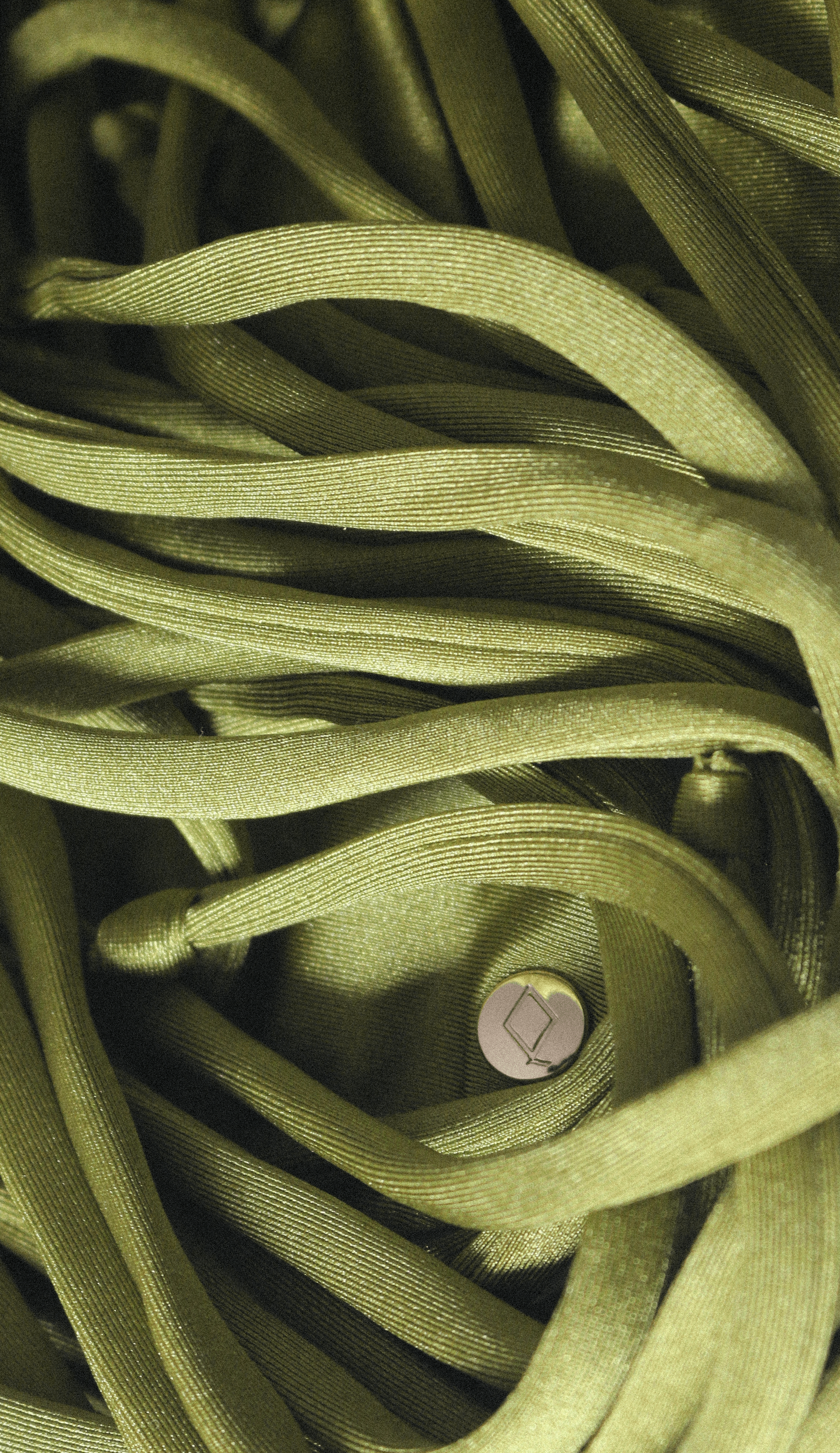 Bottom | Canvas  - Tropic Series