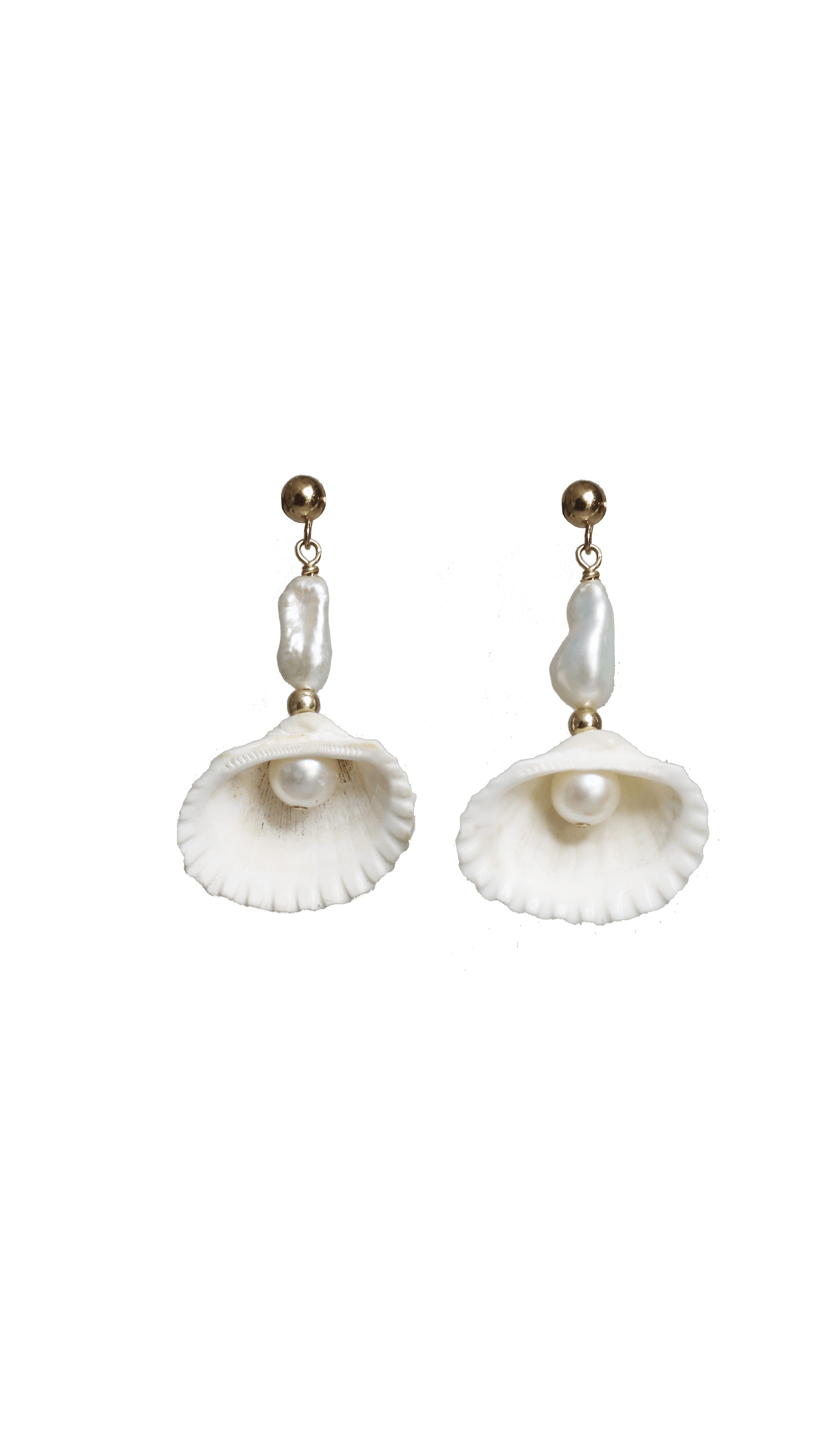 Earrings | Sea Shell