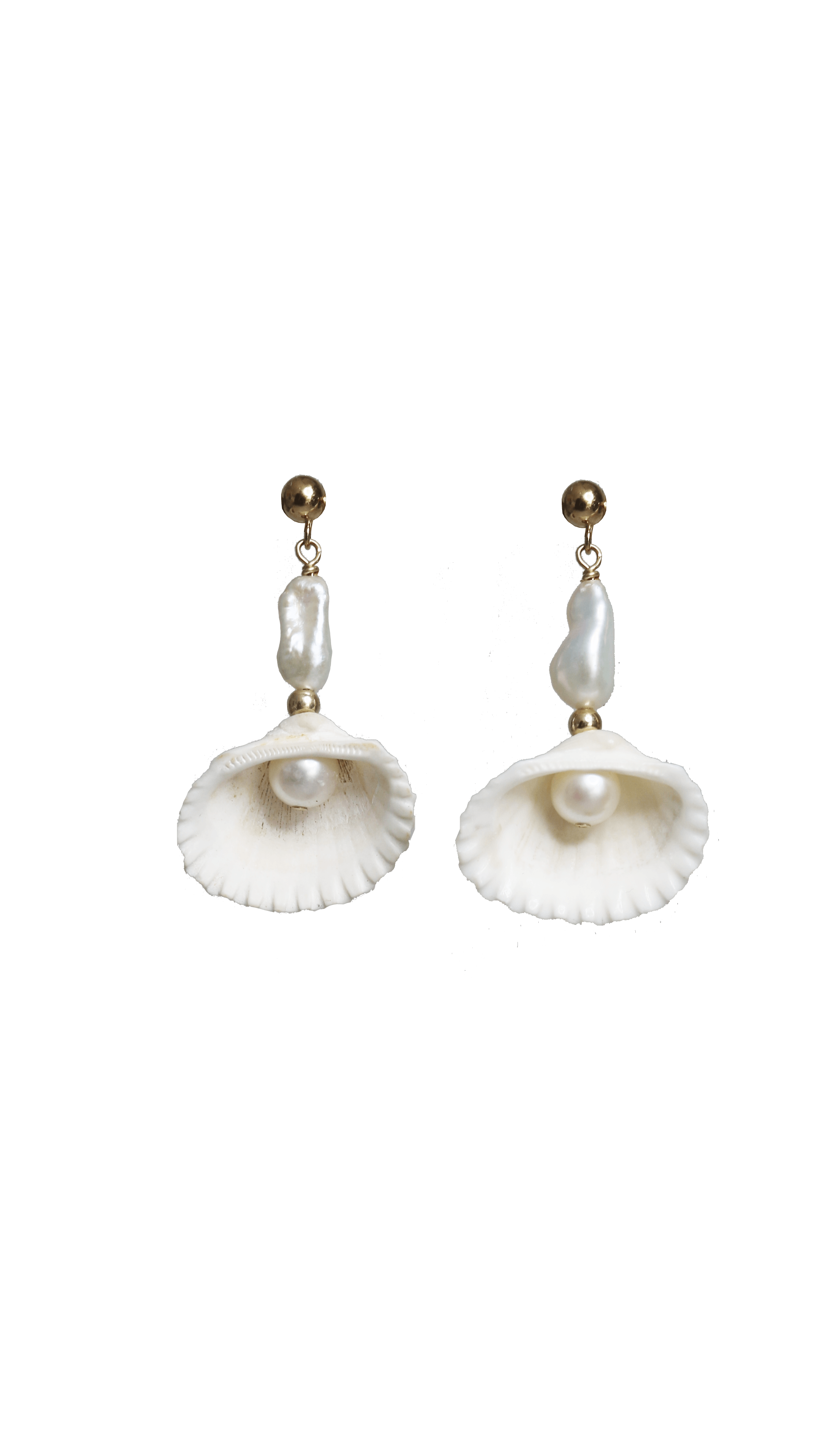 Earrings | Sea Shell