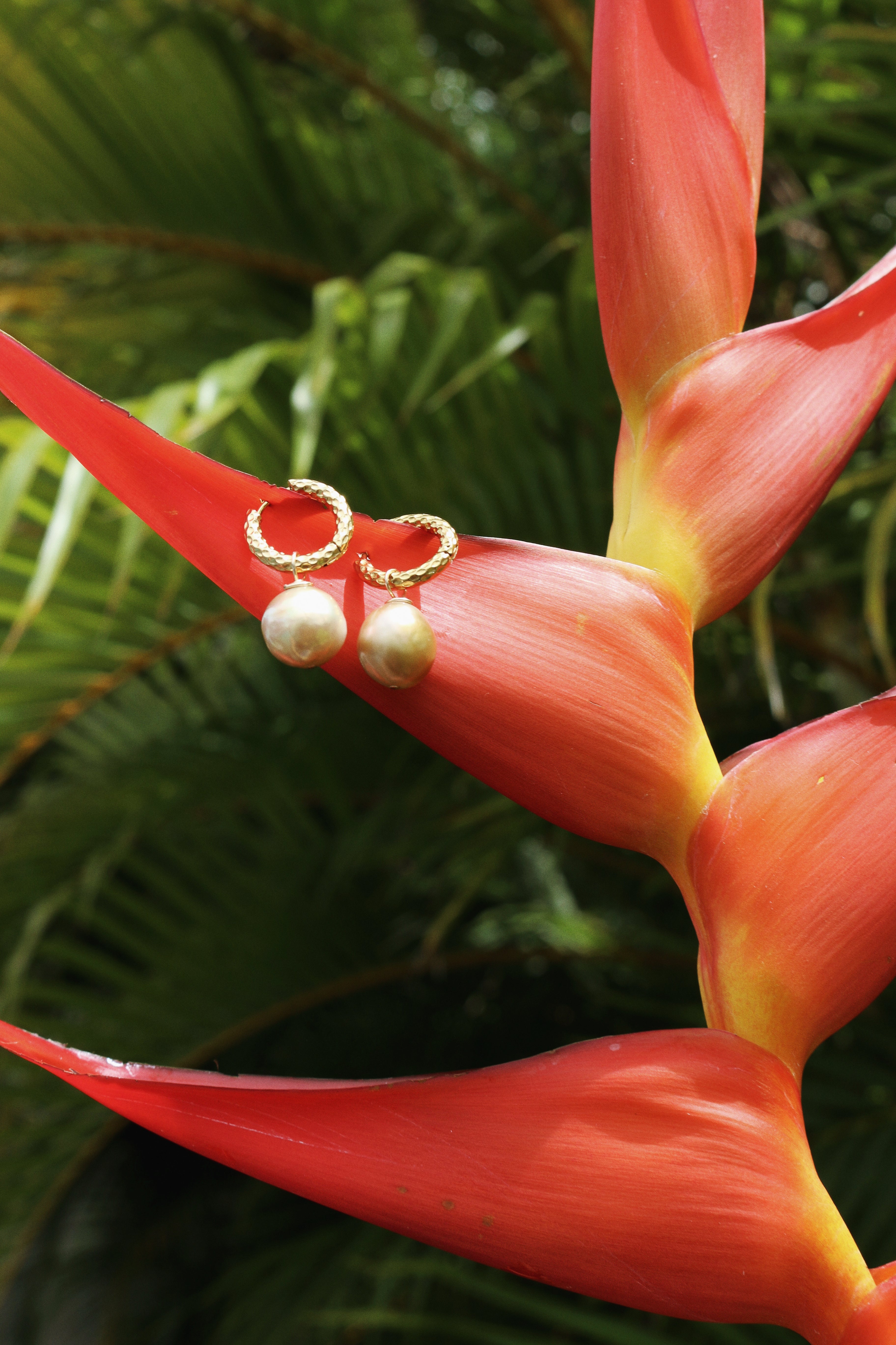 Earrings Pearl jewelry Marquise Swim
