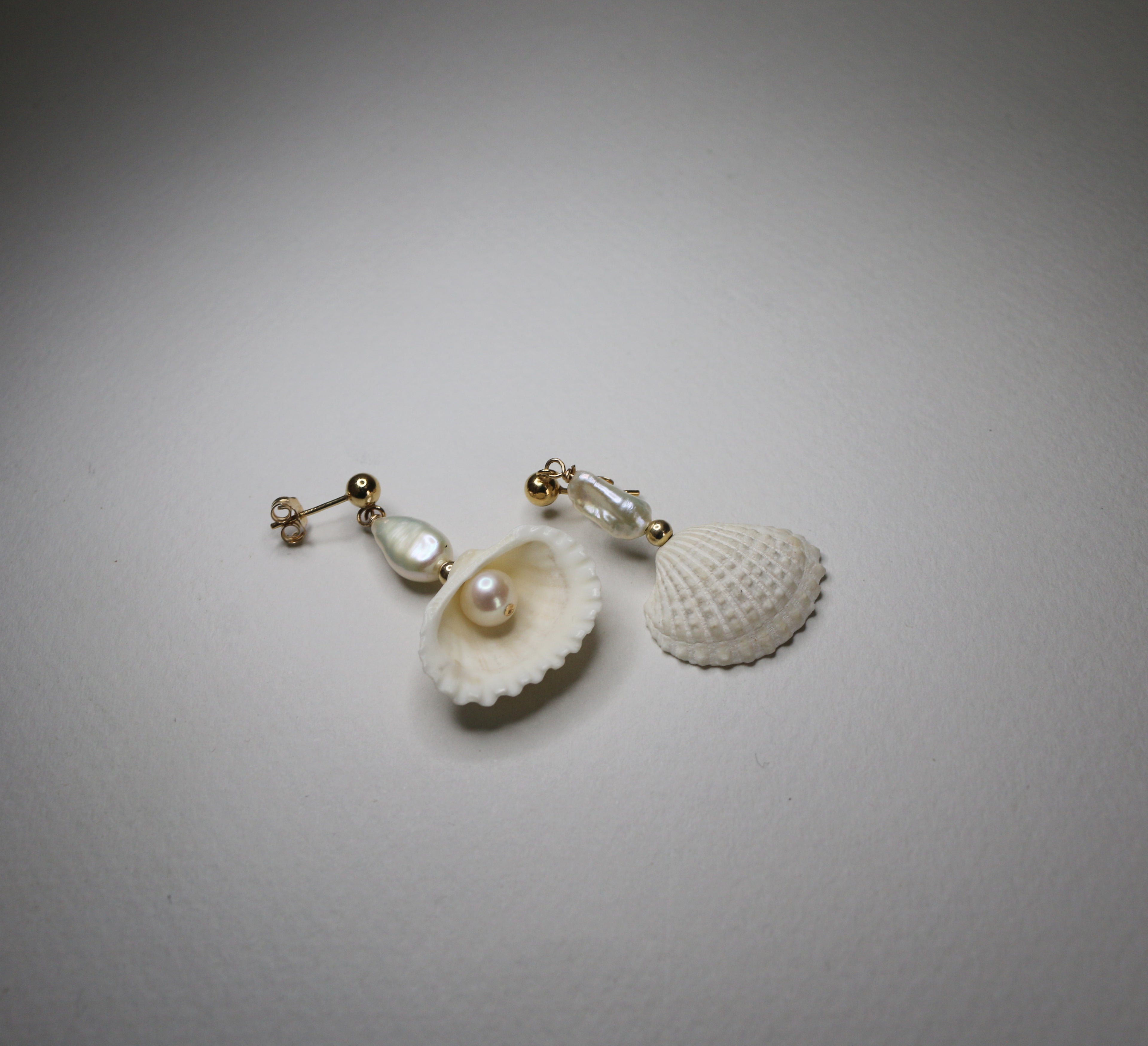 Earrings | Sea Shell